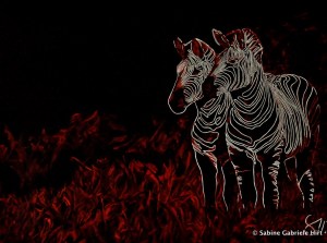 AFRICAN NEON, 2012 Acrylic on Canvas, 30x40