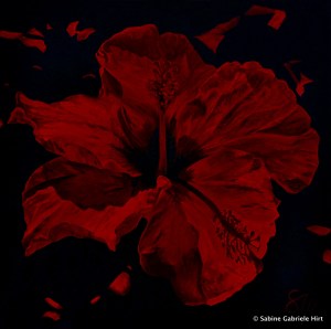 SCARLET SHAWDOWS, 2011 Acrylic on Canvas, 40x40''