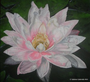 WATERLILY, 2005 Acrylic on Canvas, 36x36"