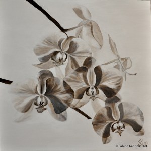 WHITE ORCHIDS, 2011 Acrylic on canvas, 36x36"