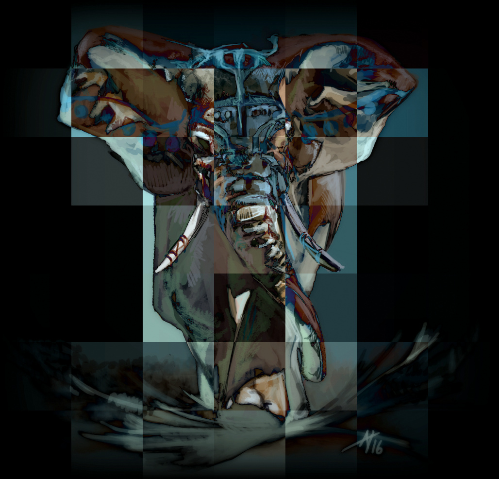 161113_Elephant Black.jpg